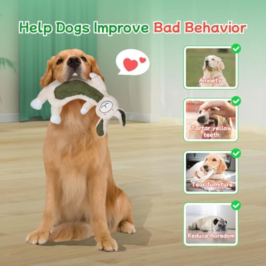 Durable Crinkle Dog Toy - No Stuffing Squeaky Plush for Aggressive Chewers