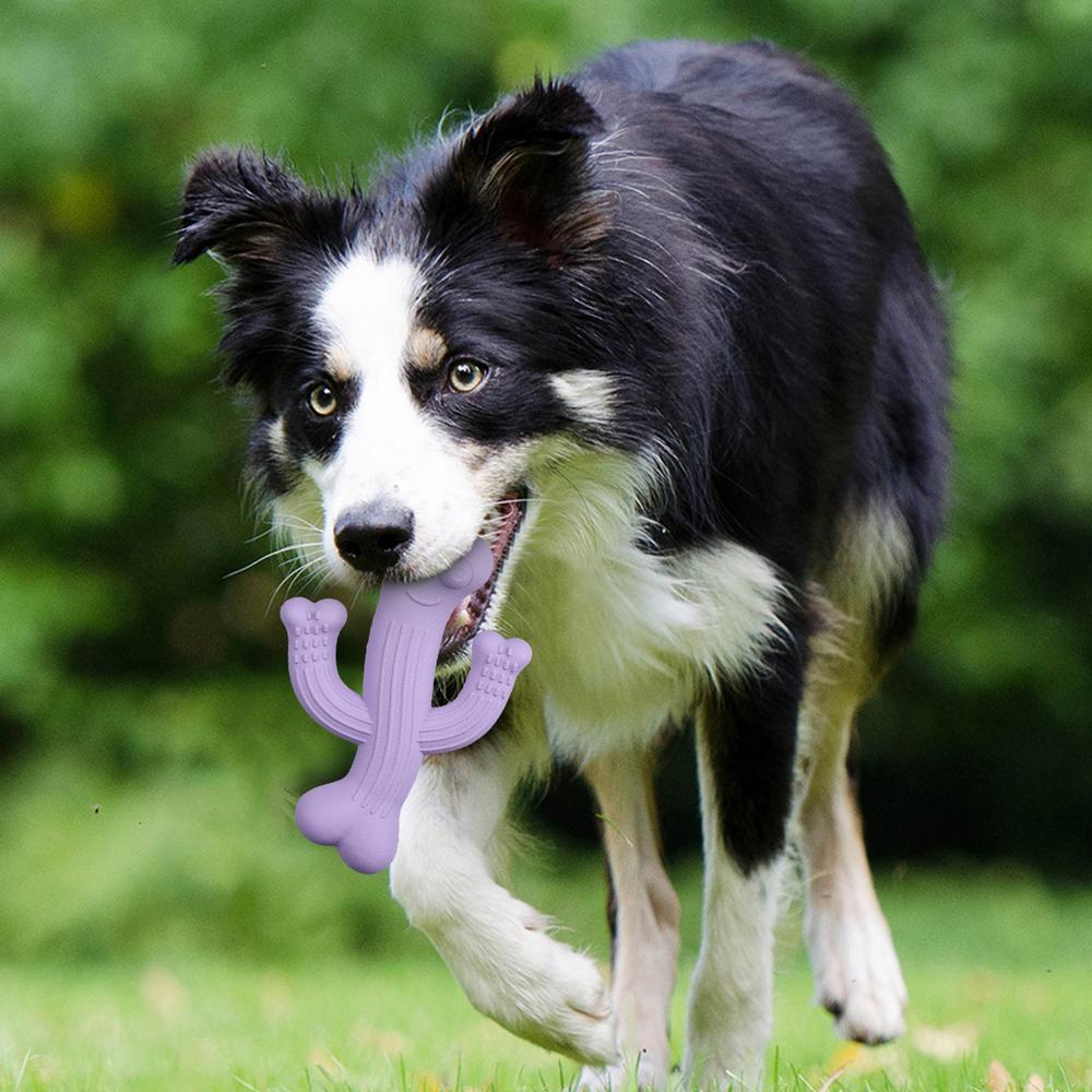 Cactus Dog Chew Toy - Ultra Durable Interactive Toy for Aggressive Chewers