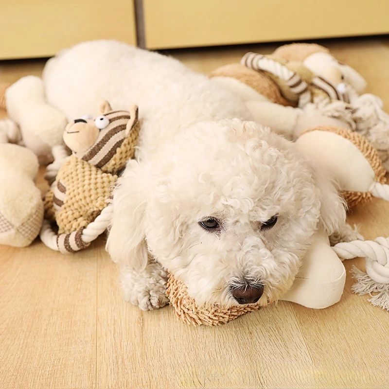 Cotton Rope Dog Toy with Squeaker - Dental Teeth Cleaning Chew Toy for Training