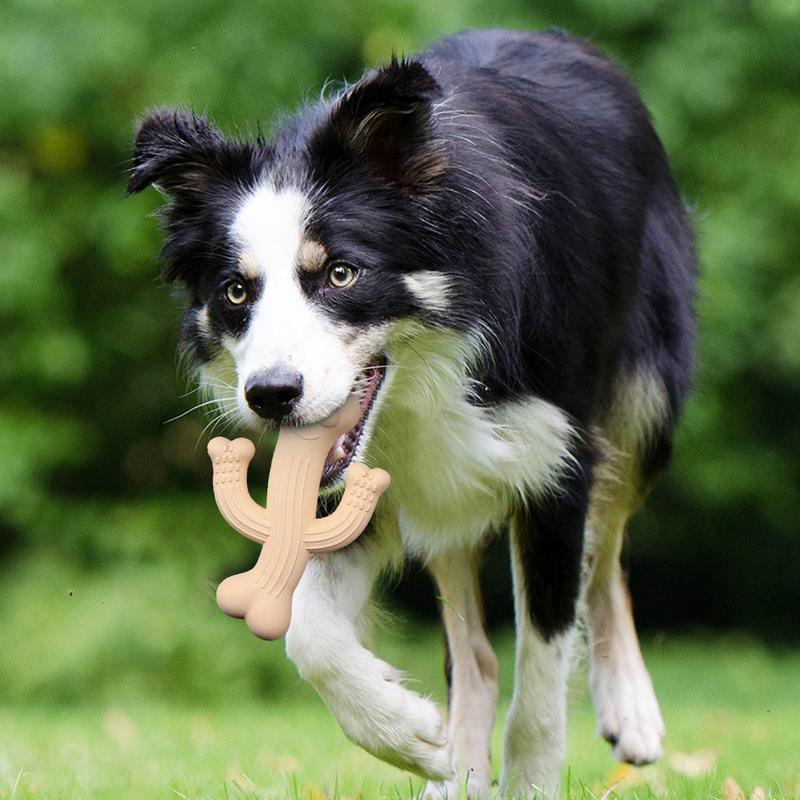 Cactus Dog Chew Toy - Ultra Durable Interactive Toy for Aggressive Chewers