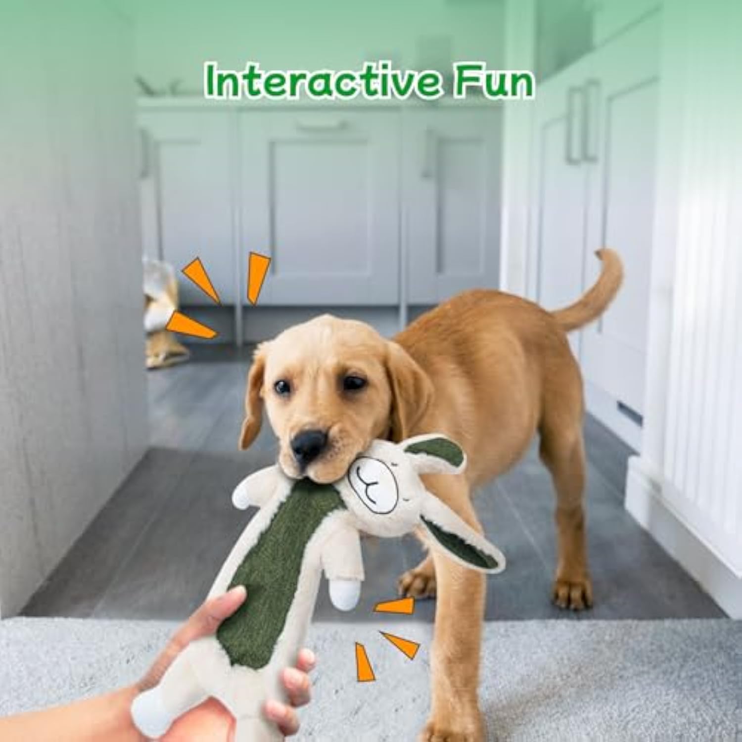 Durable Crinkle Dog Toy - No Stuffing Squeaky Plush for Aggressive Chewers